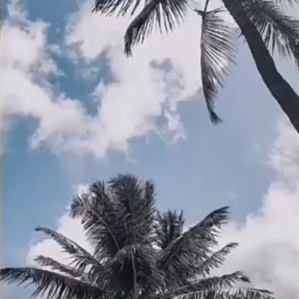 Meet your Posher, Alywren